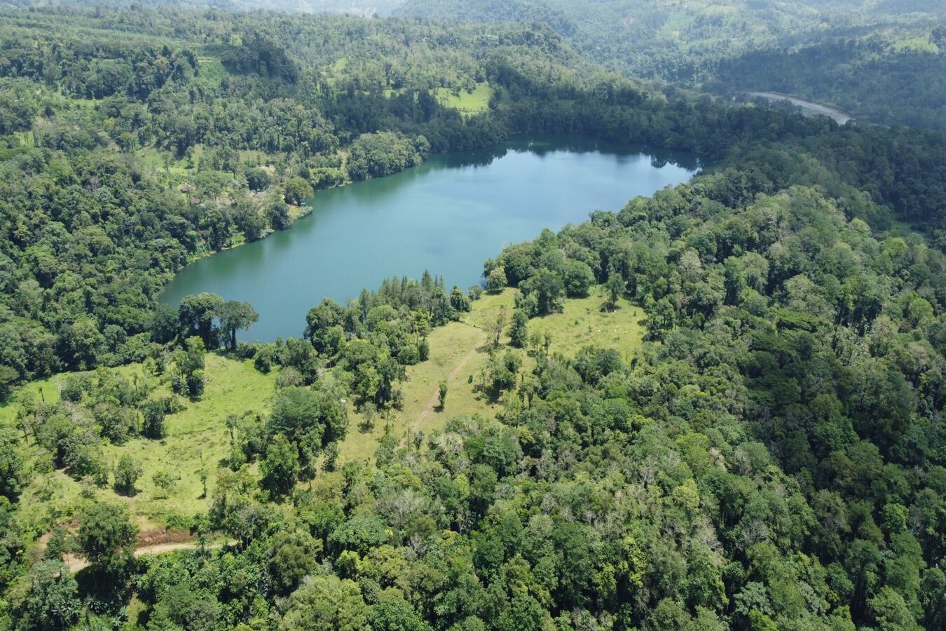 Hacienda Dos Lagunas kakao çekirdeği