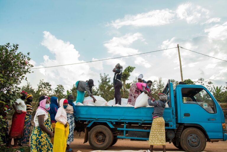 Mbilima Organik