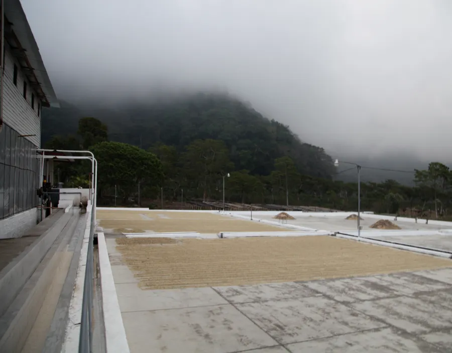 Panama