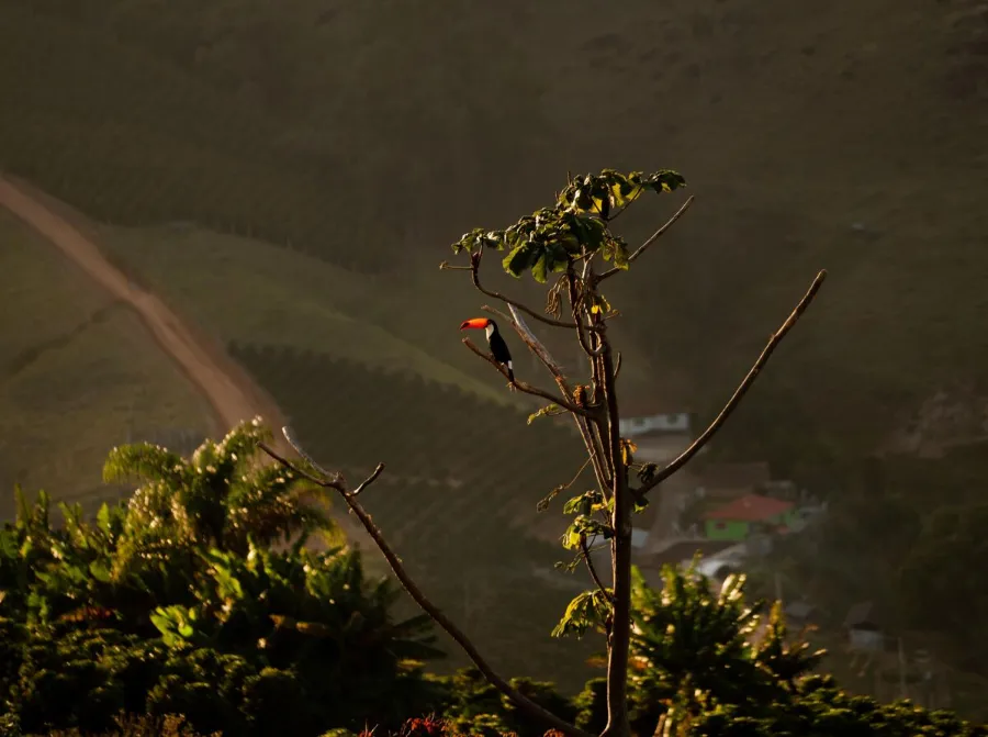 Serra Dos Ciganos