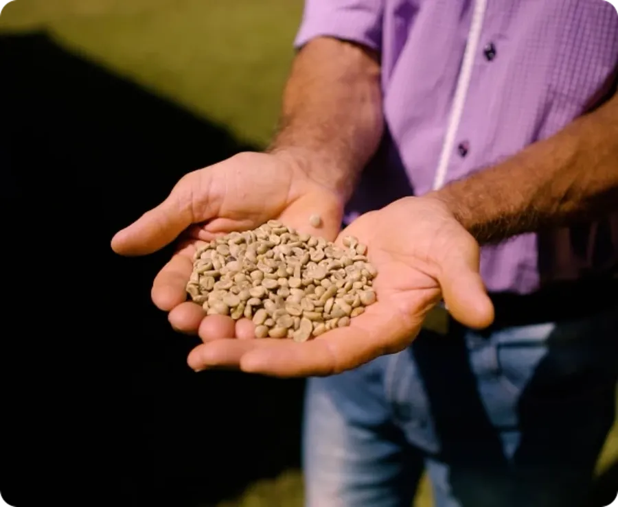 Guarani Grain Pro