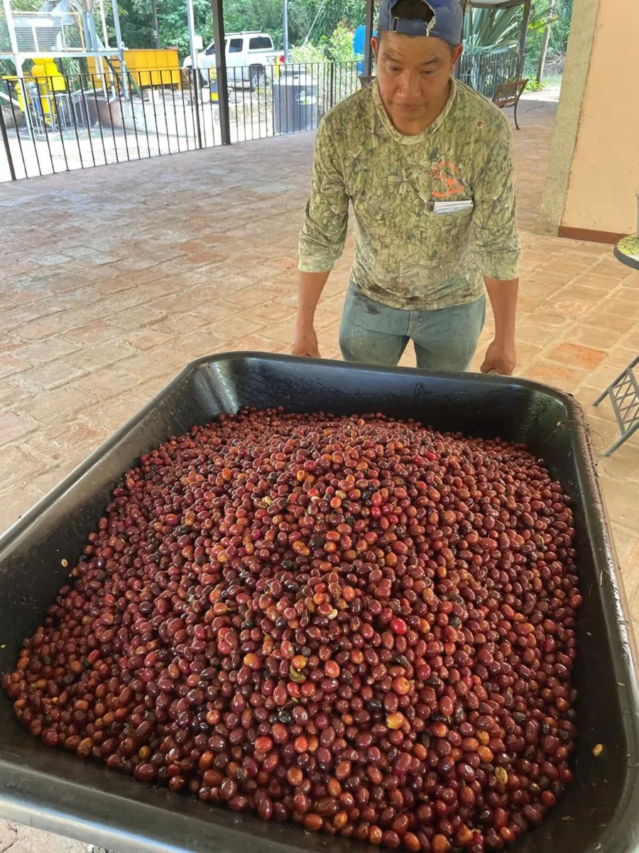 El Cerro