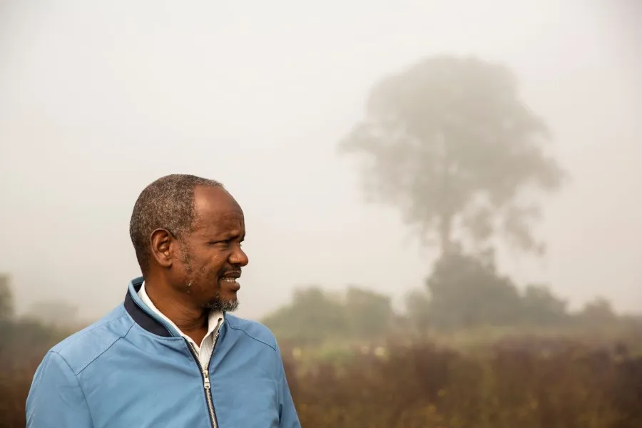 Jimma - Gomma