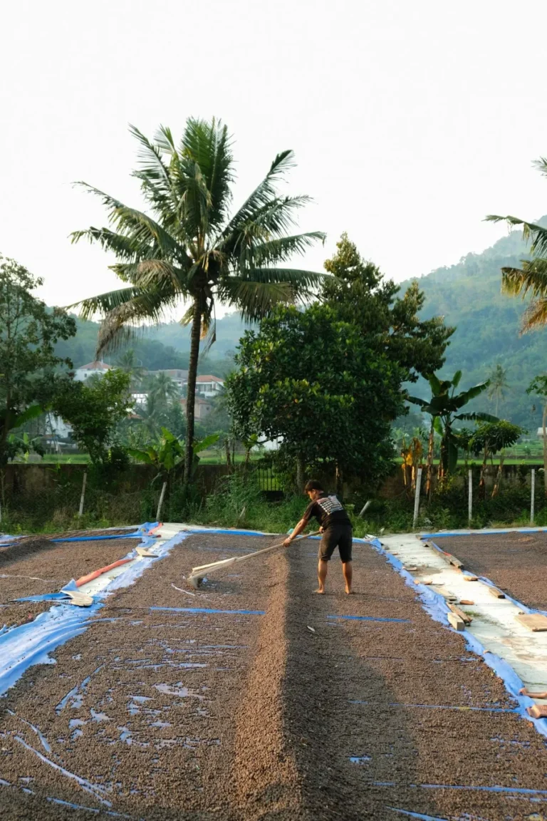 Sekar Kiamis