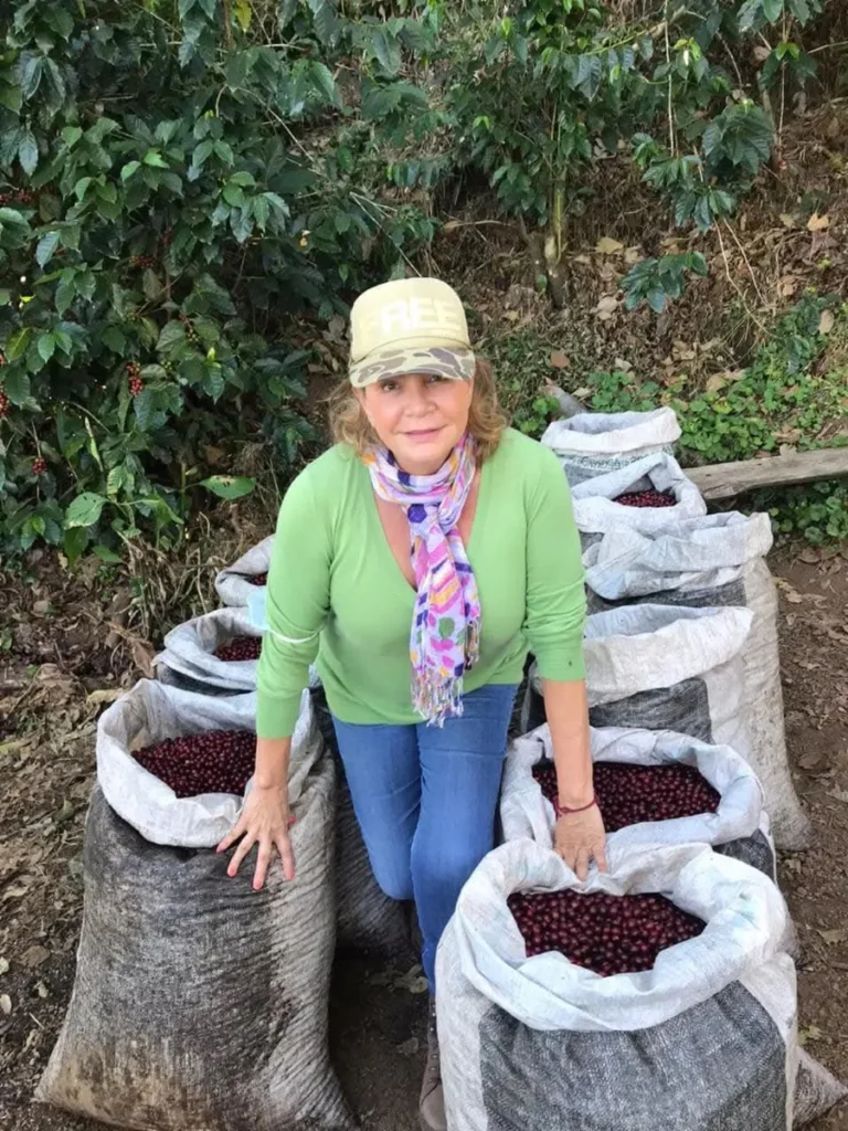 El Salvador yeşil kahve