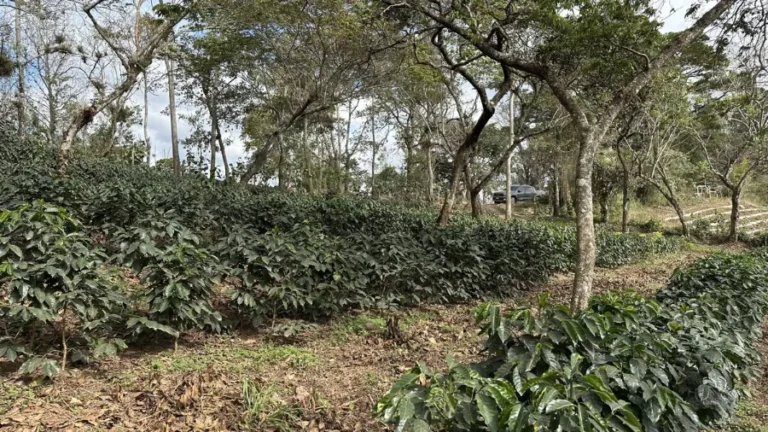LENCA Ocotepeque