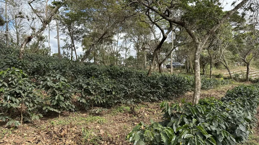 LENCA Ocotepeque