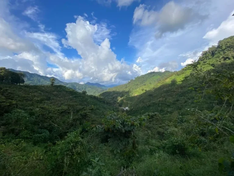 Santa Teresa