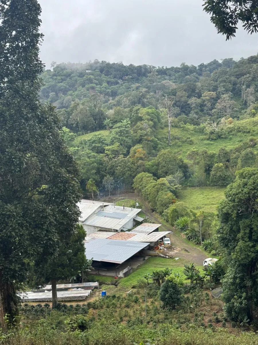 volcan baru