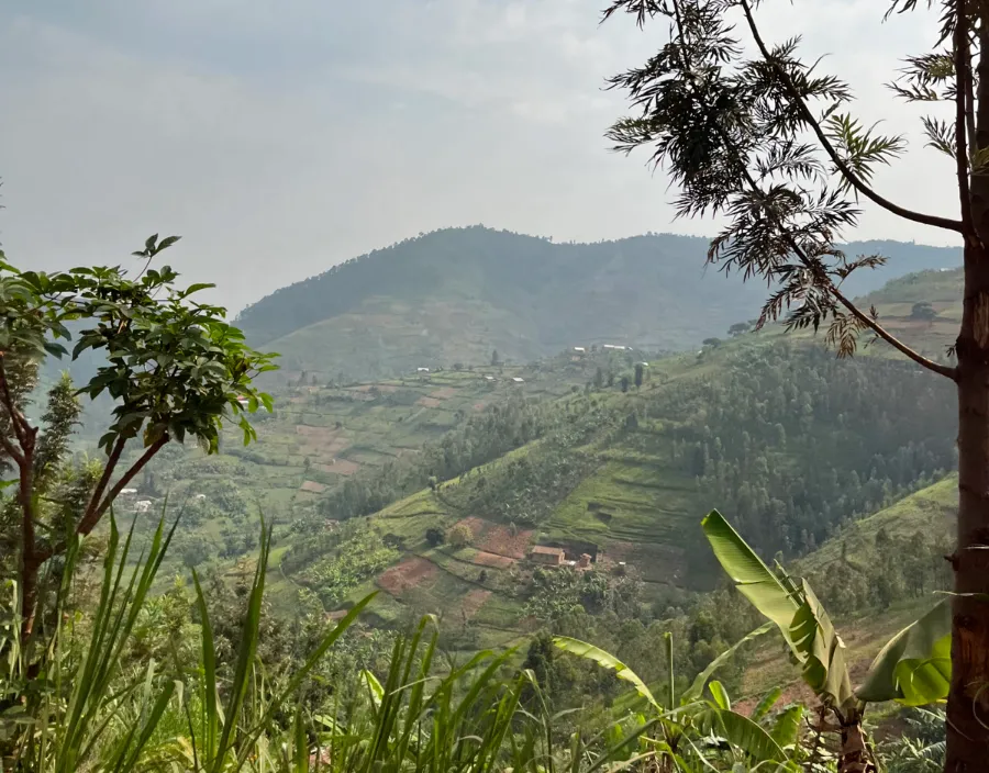 Dukunde Kawa Musasa Cooperative
